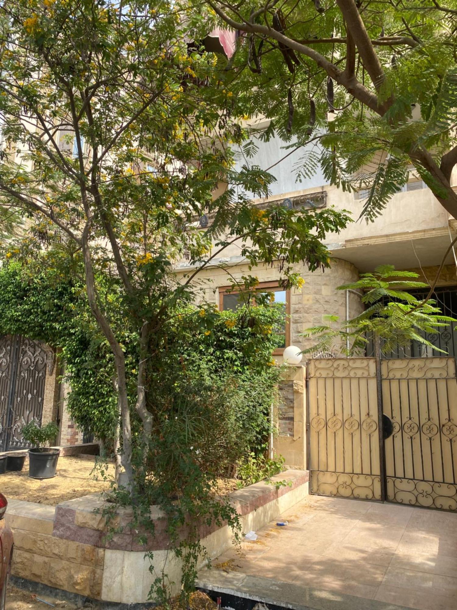 Sunny New * Il Cairo